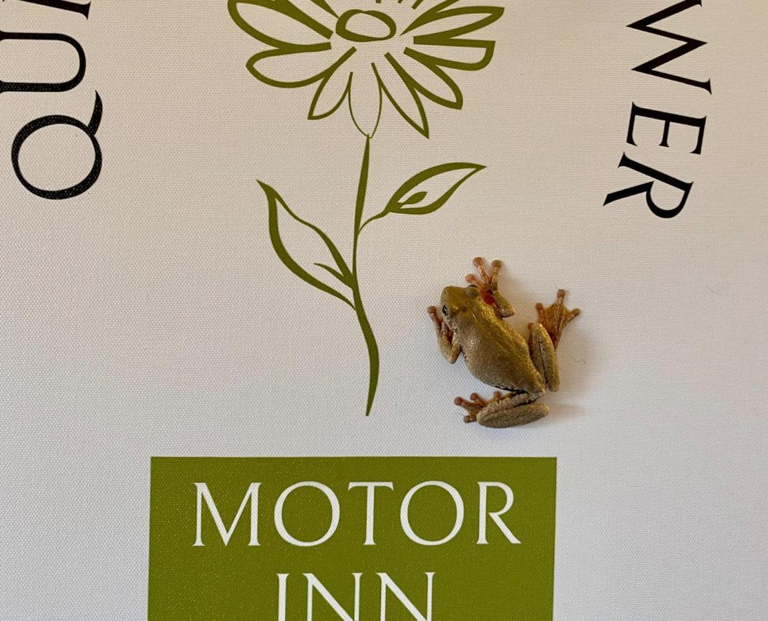 Quirindi Sunflower Motor Inn Exterior photo